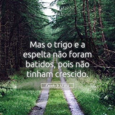 Picture 05 - Êxodo 9:32 BSL - Mas o trigo e a espelta não foram batidos, pois - Bible Verse Picture