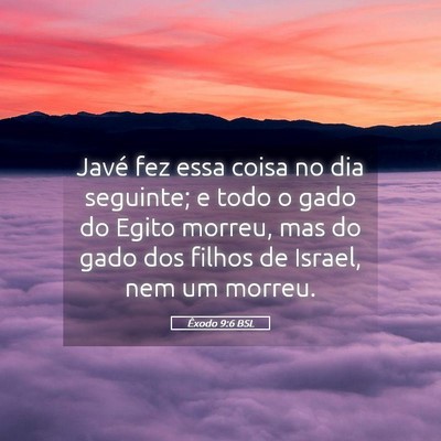 Picture 05 - Êxodo 9:6 BSL - Javé fez essa coisa no dia seguinte; e todo o - Bible Verse Picture