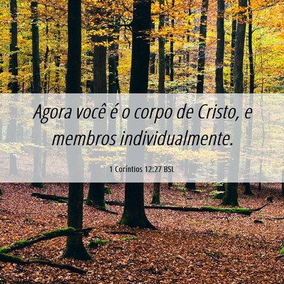 Picture 06 - 1 Coríntios 12:27 BSL - Agora você é o corpo de Cristo, e membros - Bible Verse Picture