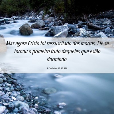 Picture 06 - 1 Coríntios 15:20 BSL - Mas agora Cristo foi ressuscitado dos mortos. Ele - Bible Verse Picture