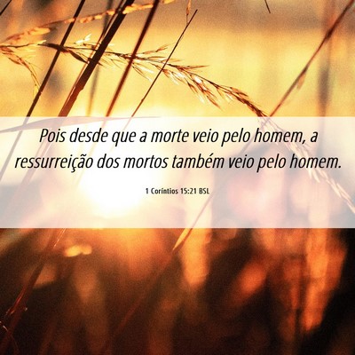 Picture 06 - 1 Coríntios 15:21 BSL - Pois desde que a morte veio pelo homem, a - Bible Verse Picture