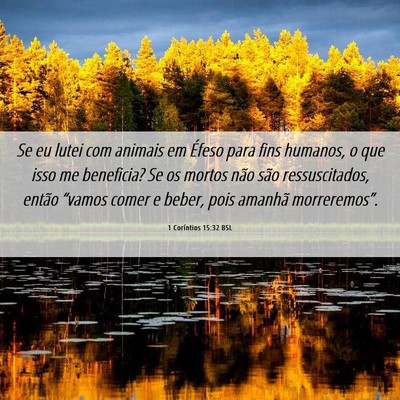 Picture 06 - 1 Coríntios 15:32 BSL - Se eu lutei com animais em Éfeso para fins - Bible Verse Picture