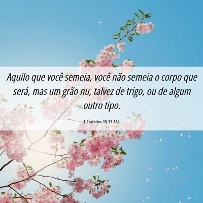 Picture 06 - 1 Coríntios 15:37 BSL - Aquilo que você semeia, você não semeia o - Bible Verse Picture