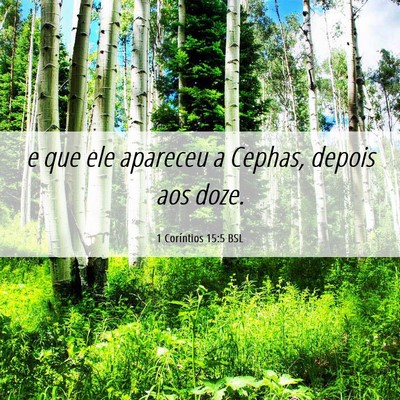 Picture 06 - 1 Coríntios 15:5 BSL - e que ele apareceu a Cephas, depois aos - Bible Verse Picture