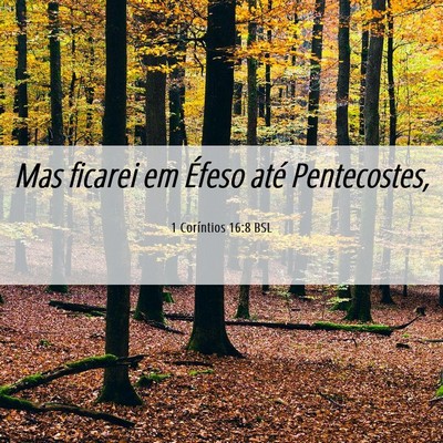 Picture 06 - 1 Coríntios 16:8 BSL - Mas ficarei em Éfeso até - Bible Verse Picture