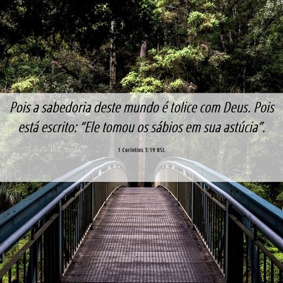 Picture 06 - 1 Coríntios 3:19 BSL - Pois a sabedoria deste mundo é tolice com Deus. - Bible Verse Picture