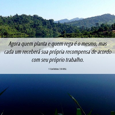 Picture 06 - 1 Coríntios 3:8 BSL - Agora quem planta e quem rega é o mesmo, mas - Bible Verse Picture