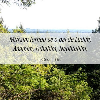Picture 06 - 1 Crônicas 1:11 BSL - Mizraim tornou-se o pai de Ludim, Anamim, - Bible Verse Picture