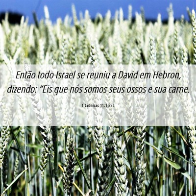 Picture 06 - 1 Crônicas 11:1 BSL - Então todo Israel se reuniu a David em Hebron, - Bible Verse Picture