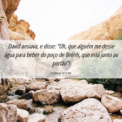 Picture 06 - 1 Crônicas 11:17 BSL - David ansiava, e disse: “Oh, que alguém me - Bible Verse Picture