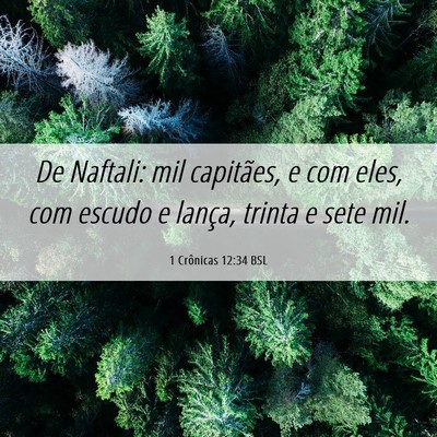 Picture 06 - 1 Crônicas 12:34 BSL - De Naftali: mil capitães, e com eles, com escudo - Bible Verse Picture