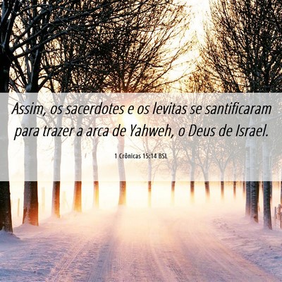Picture 06 - 1 Crônicas 15:14 BSL - Assim, os sacerdotes e os levitas se santificaram - Bible Verse Picture