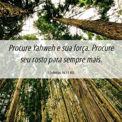 Picture 06 - 1 Crônicas 16:11 BSL - Procure Yahweh e sua força. Procure seu rosto - Bible Verse Picture