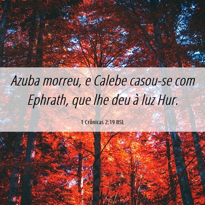 Picture 06 - 1 Crônicas 2:19 BSL - Azuba morreu, e Calebe casou-se com Ephrath, que - Bible Verse Picture