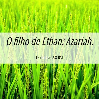 Picture 06 - 1 Crônicas 2:8 BSL - O filho de Ethan: - Bible Verse Picture