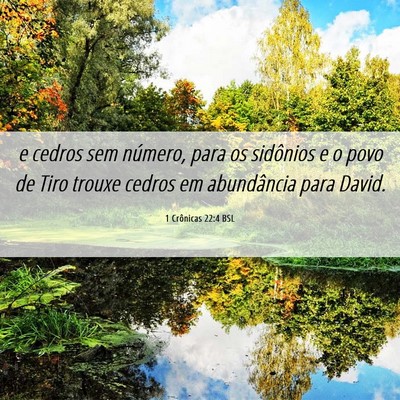 Picture 06 - 1 Crônicas 22:4 BSL - e cedros sem número, para os sidônios e o povo - Bible Verse Picture