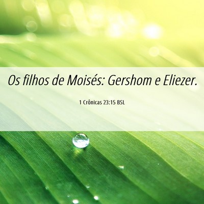 Picture 06 - 1 Crônicas 23:15 BSL - Os filhos de Moisés: Gershom e - Bible Verse Picture