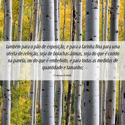 Picture 06 - 1 Crônicas 23:29 BSL - também para o pão de exposição, e para a - Bible Verse Picture