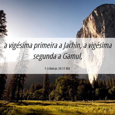 Picture 06 - 1 Crônicas 24:17 BSL - a vigésima primeira a Jachin, a vigésima - Bible Verse Picture