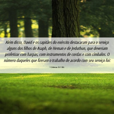 Picture 06 - 1 Crônicas 25:1 BSL - Além disso, David e os capitães do exército - Bible Verse Picture