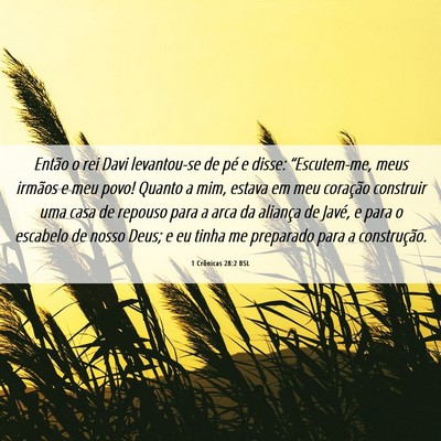 Picture 06 - 1 Crônicas 28:2 BSL - Então o rei Davi levantou-se de pé e disse: - Bible Verse Picture