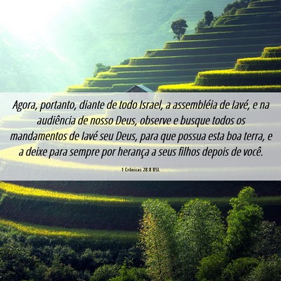 Picture 06 - 1 Crônicas 28:8 BSL - Agora, portanto, diante de todo Israel, a - Bible Verse Picture