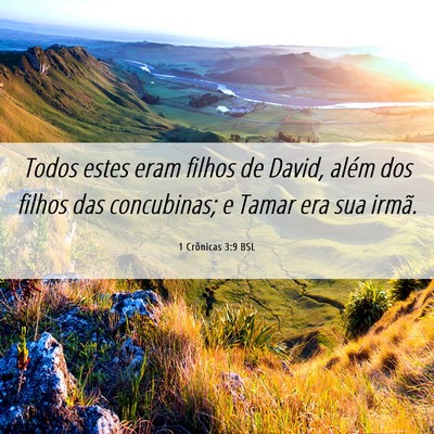 Picture 06 - 1 Crônicas 3:9 BSL - Todos estes eram filhos de David, além dos - Bible Verse Picture
