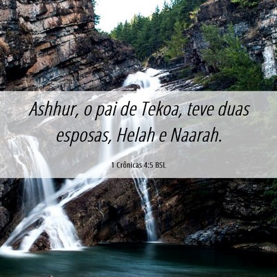 Picture 06 - 1 Crônicas 4:5 BSL - Ashhur, o pai de Tekoa, teve duas esposas, Helah - Bible Verse Picture