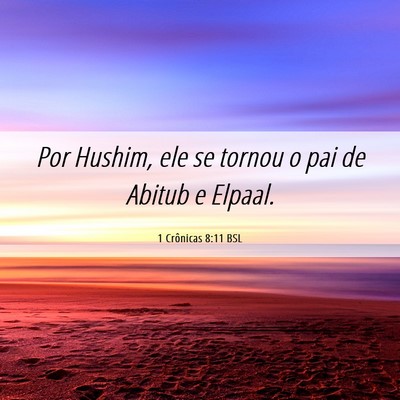Picture 06 - 1 Crônicas 8:11 BSL - Por Hushim, ele se tornou o pai de Abitub e - Bible Verse Picture