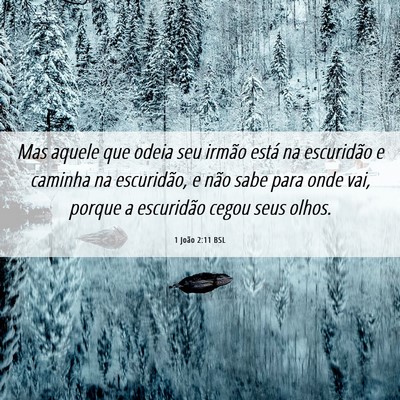 Picture 06 - 1 João 2:11 BSL - Mas aquele que odeia seu irmão está na - Bible Verse Picture