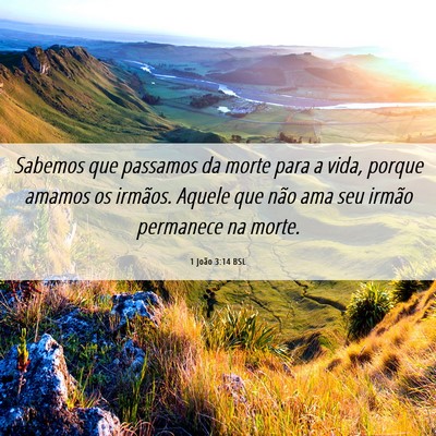 Picture 06 - 1 João 3:14 BSL - Sabemos que passamos da morte para a vida, porque - Bible Verse Picture