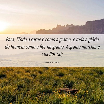 Picture 06 - 1 Pedro 1:24 BSL - Para, “Toda a carne é como a grama, e toda a - Bible Verse Picture