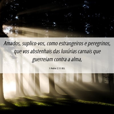 Picture 06 - 1 Pedro 2:11 BSL - Amados, suplico-vos, como estrangeiros e - Bible Verse Picture