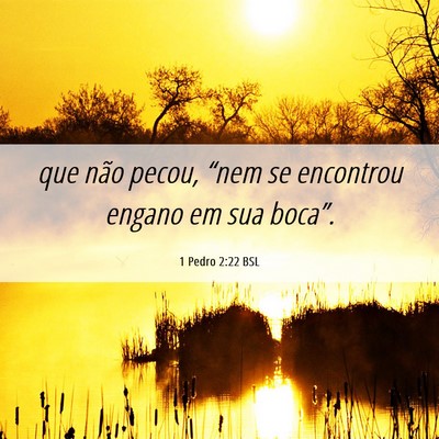 Picture 06 - 1 Pedro 2:22 BSL - que não pecou, “nem se encontrou engano em sua - Bible Verse Picture