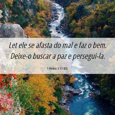 Picture 06 - 1 Pedro 3:11 BSL - Let ele se afasta do mal e faz o bem. Deixe-o - Bible Verse Picture