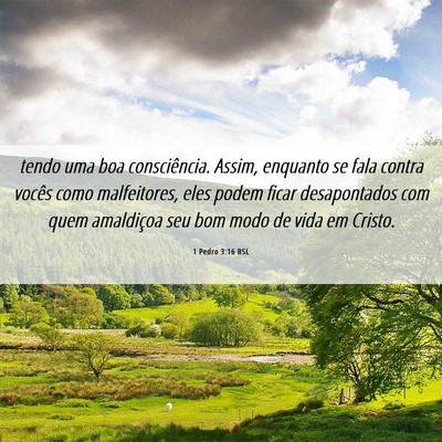 Picture 06 - 1 Pedro 3:16 BSL - tendo uma boa consciência. Assim, enquanto se - Bible Verse Picture