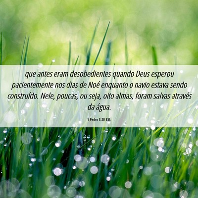 Picture 06 - 1 Pedro 3:20 BSL - que antes eram desobedientes quando Deus esperou - Bible Verse Picture