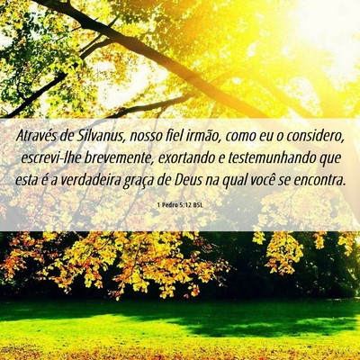Picture 06 - 1 Pedro 5:12 BSL - Através de Silvanus, nosso fiel irmão, como eu - Bible Verse Picture
