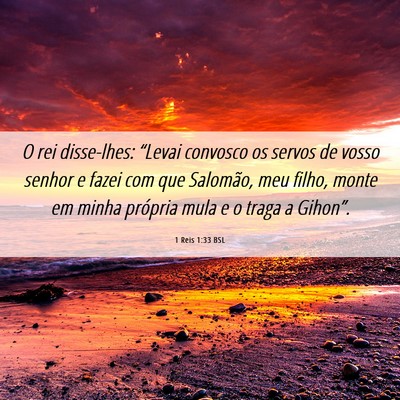 Picture 06 - 1 Reis 1:33 BSL - O rei disse-lhes: “Levai convosco os servos de - Bible Verse Picture