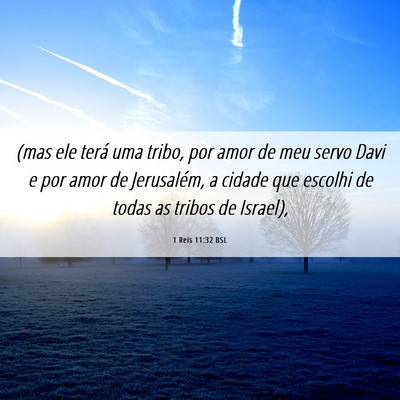 Picture 06 - 1 Reis 11:32 BSL - (mas ele terá uma tribo, por amor de meu servo - Bible Verse Picture