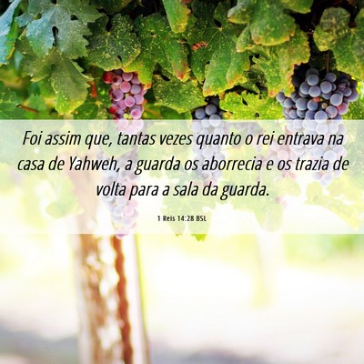 Picture 06 - 1 Reis 14:28 BSL - Foi assim que, tantas vezes quanto o rei entrava - Bible Verse Picture