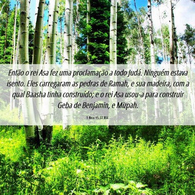 Picture 06 - 1 Reis 15:22 BSL - Então o rei Asa fez uma proclamação a todo - Bible Verse Picture