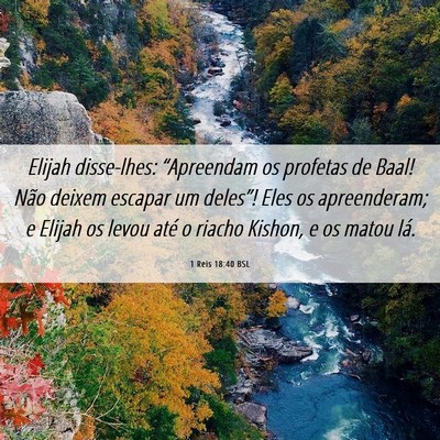 Picture 06 - 1 Reis 18:40 BSL - Elijah disse-lhes: “Apreendam os profetas de - Bible Verse Picture
