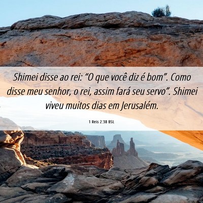Picture 06 - 1 Reis 2:38 BSL - Shimei disse ao rei: “O que você diz é - Bible Verse Picture