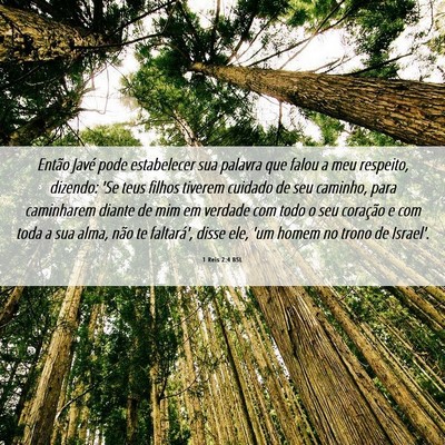 Picture 06 - 1 Reis 2:4 BSL - Então Javé pode estabelecer sua palavra que - Bible Verse Picture
