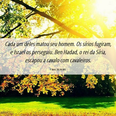 Picture 06 - 1 Reis 20:20 BSL - Cada um deles matou seu homem. Os sírios - Bible Verse Picture