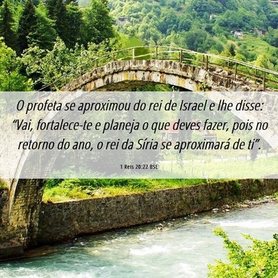 Picture 06 - 1 Reis 20:22 BSL - O profeta se aproximou do rei de Israel e lhe - Bible Verse Picture