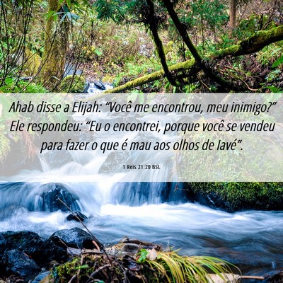 Picture 06 - 1 Reis 21:20 BSL - Ahab disse a Elijah: “Você me encontrou, meu - Bible Verse Picture