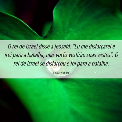 Picture 06 - 1 Reis 22:30 BSL - O rei de Israel disse a Jeosafá: “Eu me - Bible Verse Picture