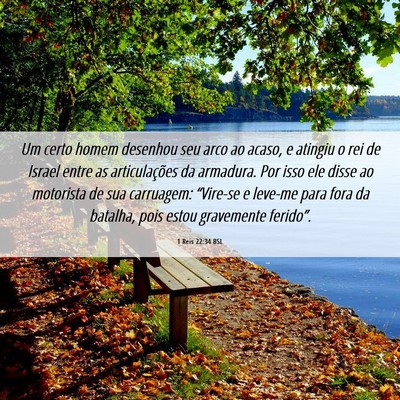 Picture 06 - 1 Reis 22:34 BSL - Um certo homem desenhou seu arco ao acaso, e - Bible Verse Picture